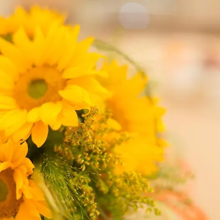 Hotel Ristorante Lucia - 100 Mt Dal Mare 3*