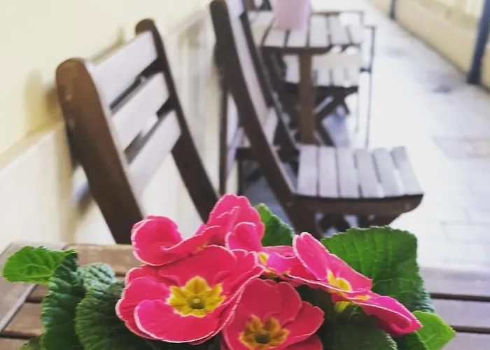 Ristorante Lucia Giulianova