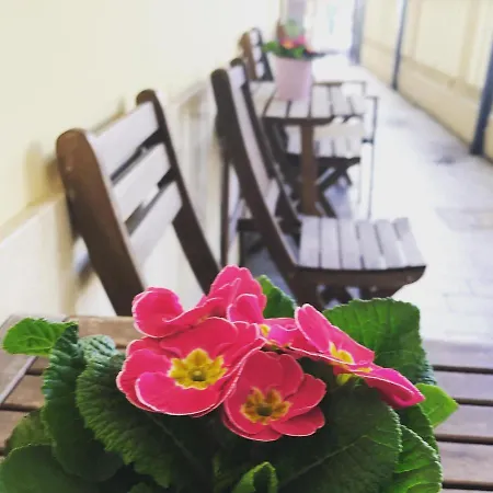 Ristorante Lucia - 100 Mt Dal Mare Giulianova