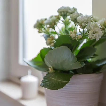 Ristorante Lucia - 100 Mt Dal Mare