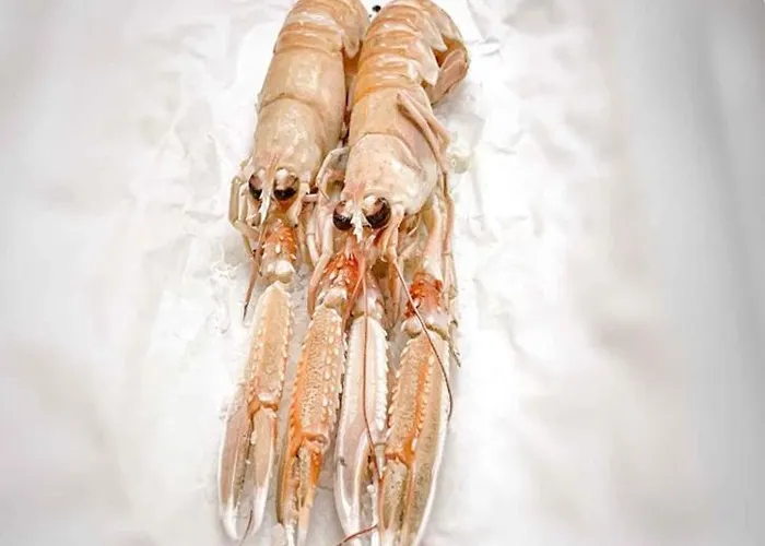 فندق Ristorante Lucia - 100 Mt Dal Mare 3*