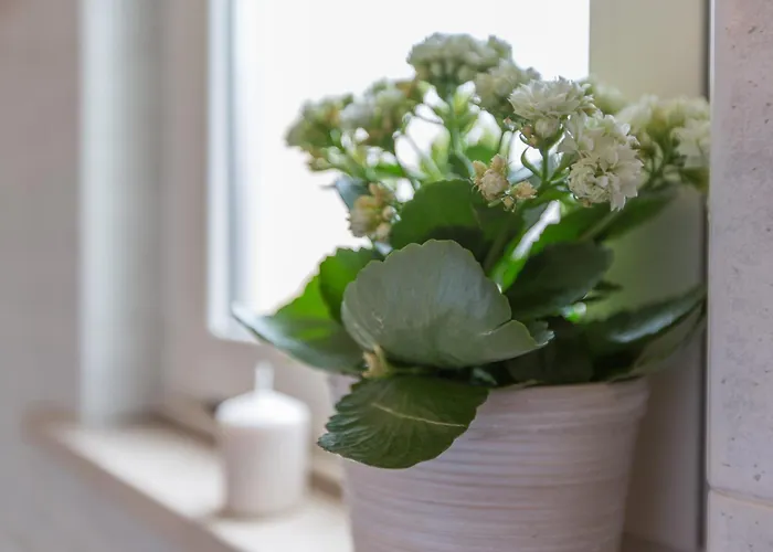 Ristorante Lucia - 100 Mt Dal Mare