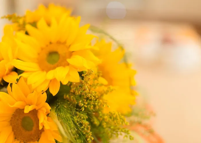 Hotel Ristorante Lucia - 100 Mt Dal Mare 3*